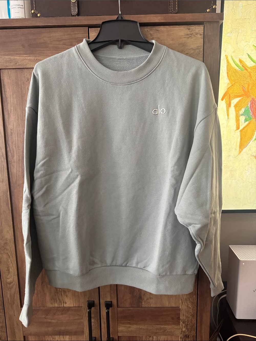 ALO Yoga womens Crewneck Sweatshirt in Sage Green